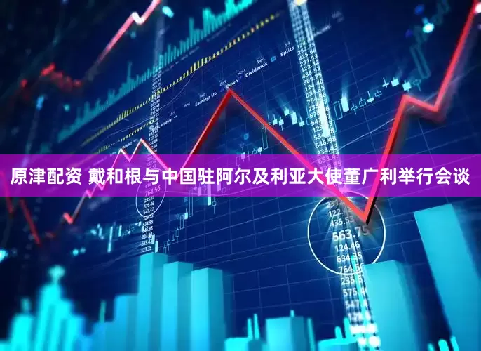 原津配资 戴和根与中国驻阿尔及利亚大使董广利举行会谈