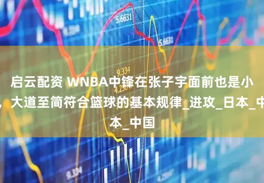 启云配资 WNBA中锋在张子宇面前也是小菜，大道至简符合篮球的基本规律_进攻_日本_中国