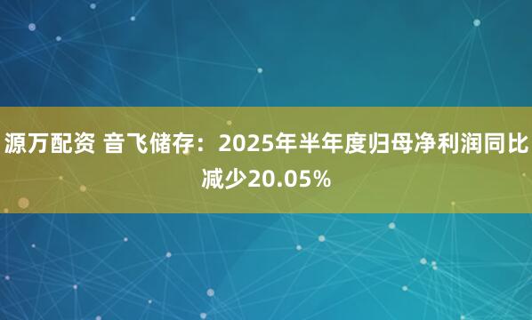 源万配资 音飞储存：2025年半年度归母净利润同比减少20.05%