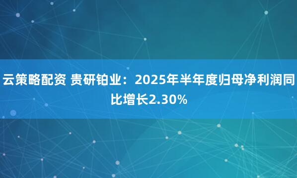 云策略配资 贵研铂业：2025年半年度归母净利润同比增长2.30%